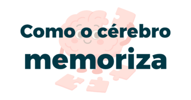 como o cérebro memoriza revelado pela ciência