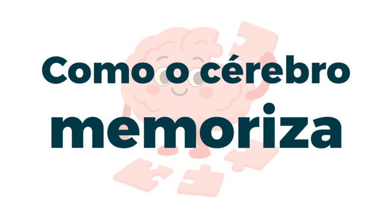 como o cérebro memoriza revelado pela ciência
