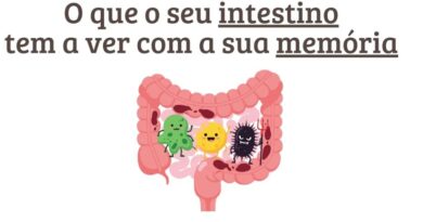 o que seu intestino tem a ver com sua memória