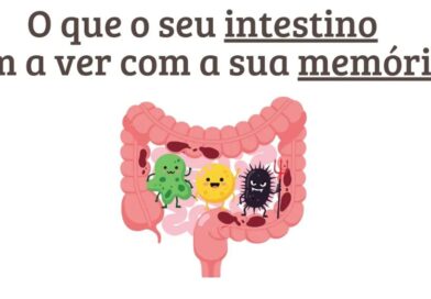 o que seu intestino tem a ver com sua memória